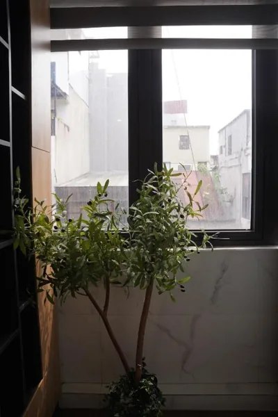 The Windie Home - Đường Thành - Bright Corner Room - Overlooking Street - Hoan Kiem Lake – Foto’s 8